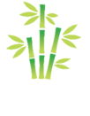 Bamboo Landscapes