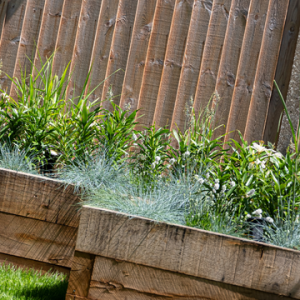 Planting (5)